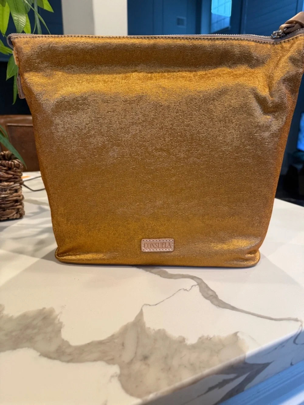 BRANDA NEW Consuela Bronzer Hobo Bag